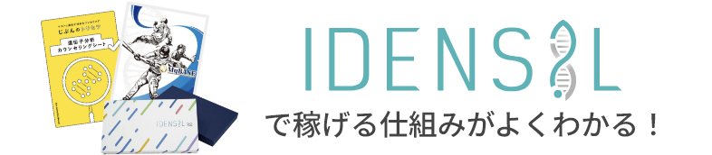 IDENSILで稼げる仕組みがよくわかる！